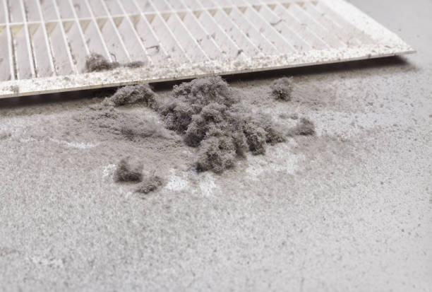 Best Affordable Air Duct Cleaning  in Harper Woods, MI