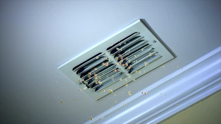Affordable HVAC Duct Cleaning in Harper Woods, MI