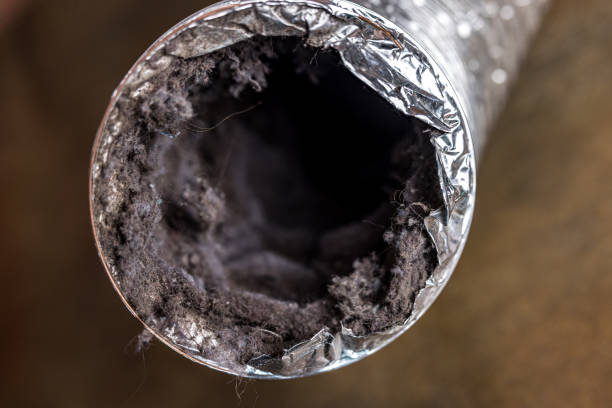 Best Affordable HVAC Duct Cleaning  in Harper Woods, MI
